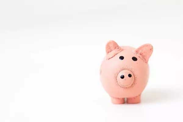 Piggy Bank Image